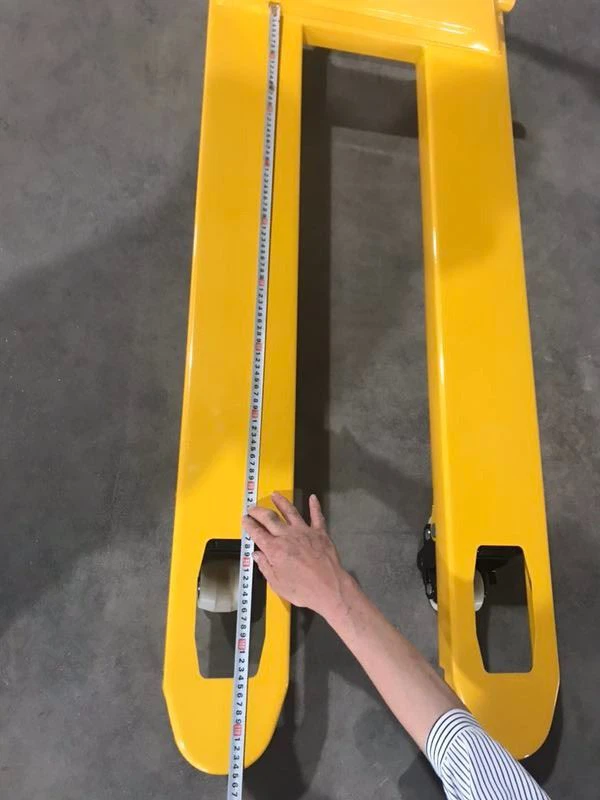 Customized Hand Pallet Truck With Attractive Economic High Cost Performance